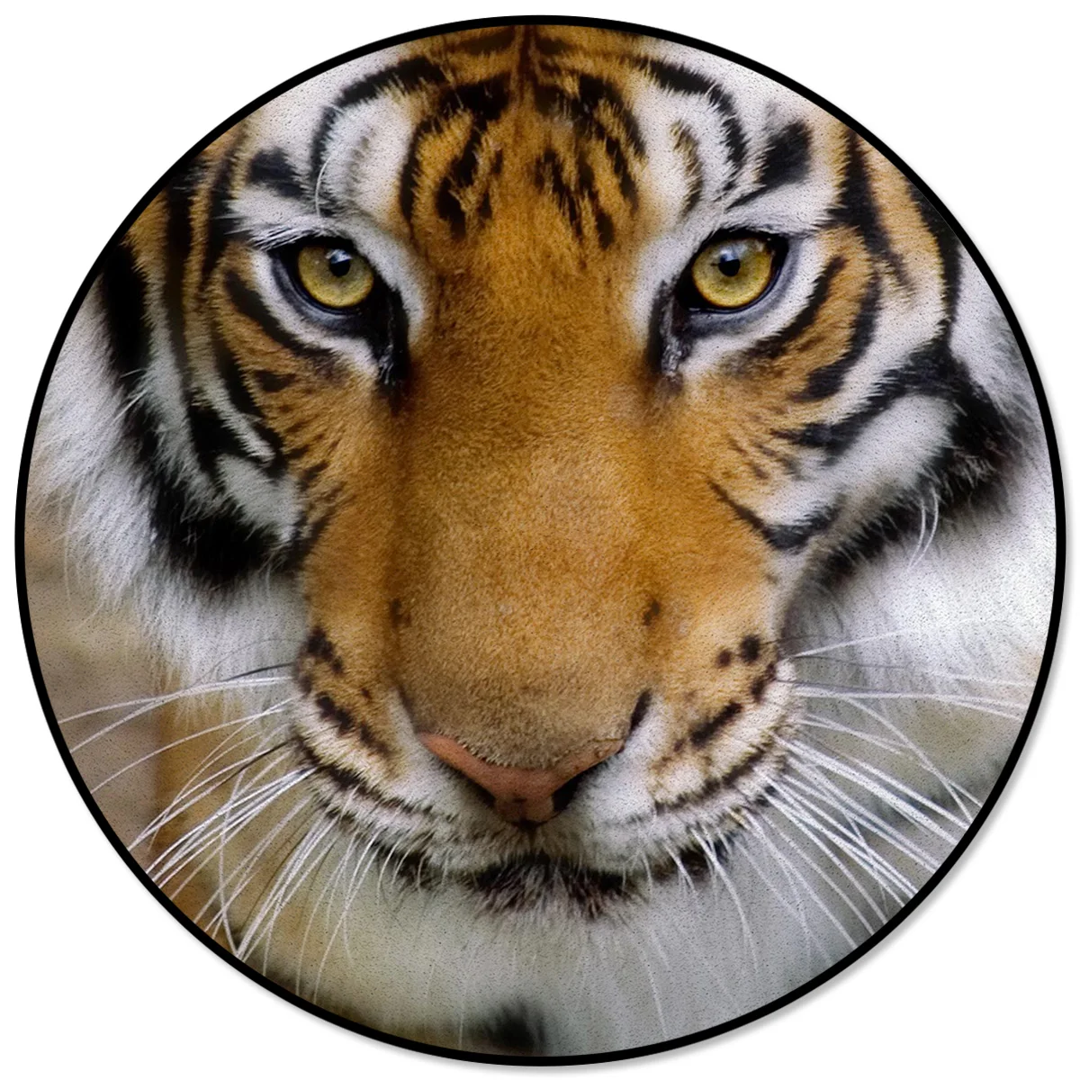 Animal Tiger Beard Asia Carnivore Pattern Rugs and Carpets for Home