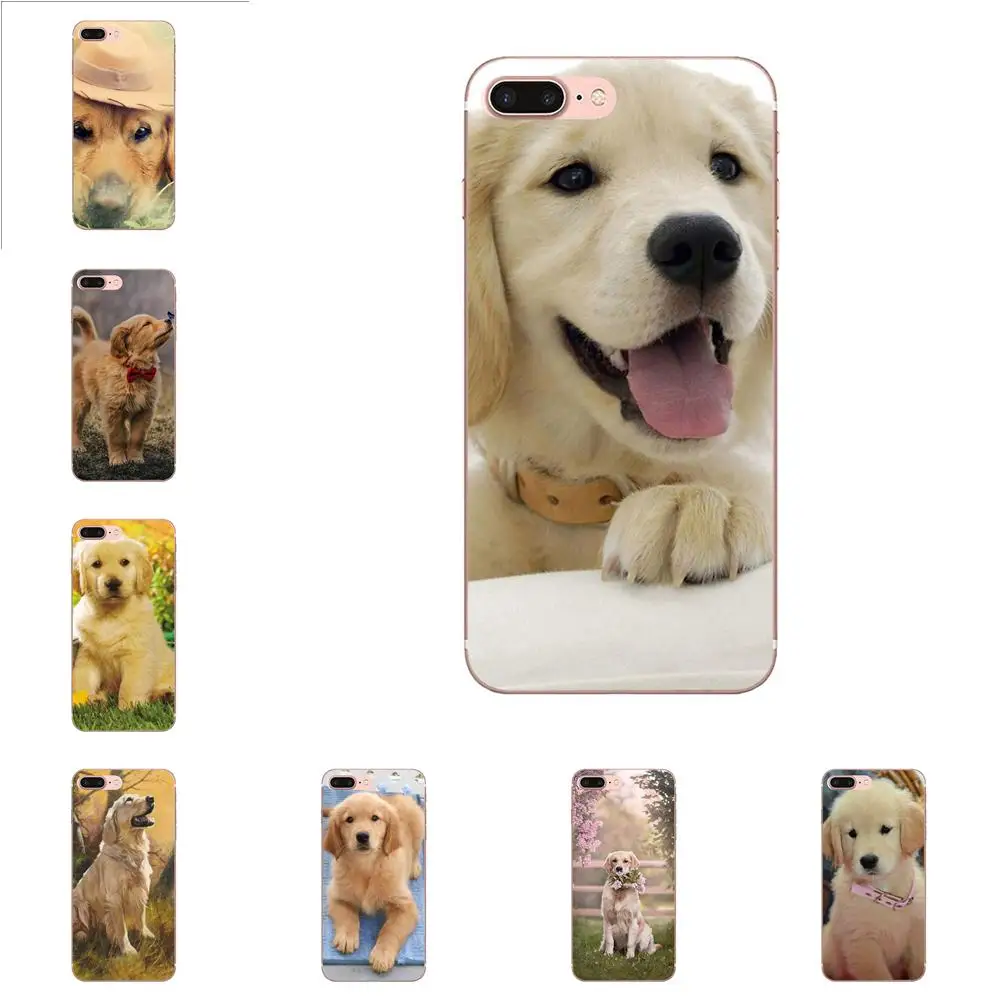 Golden Retriever Puppy Dog Soft For Samsung Galaxy Note 8 9 10 Pro S4 S5 S6 S7 S8 S9 S10 S11 S11E S20 Edge Plus Ultra | Мобильные