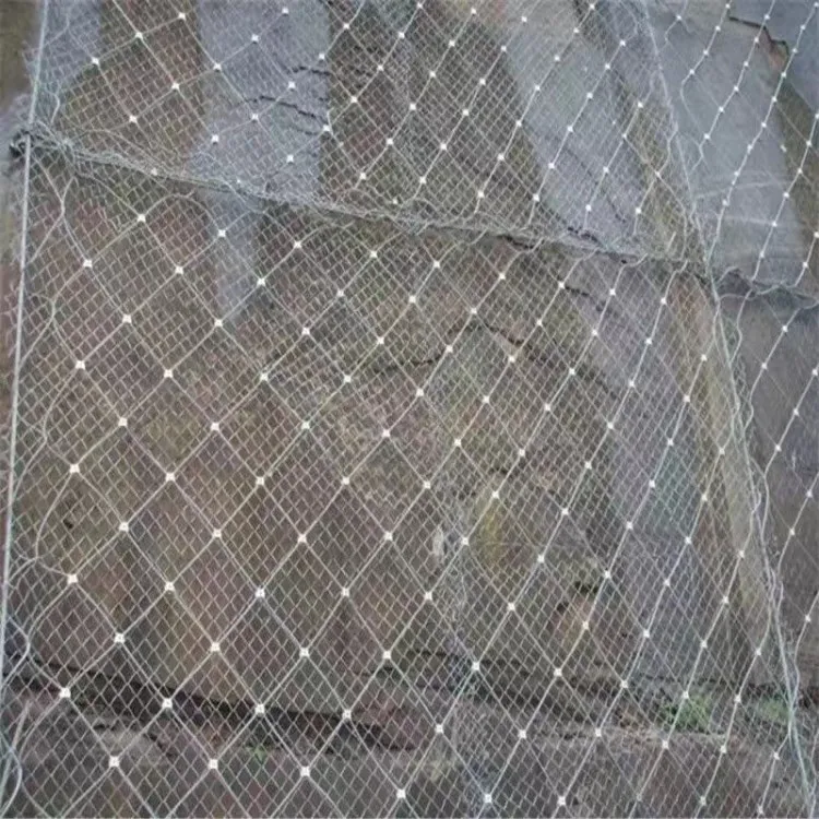 

SNS Slope Active Protective Mesh Mine Governance Protective Mesh Wire Rope Net Slope Protection Net Manufacturers Direct Selling