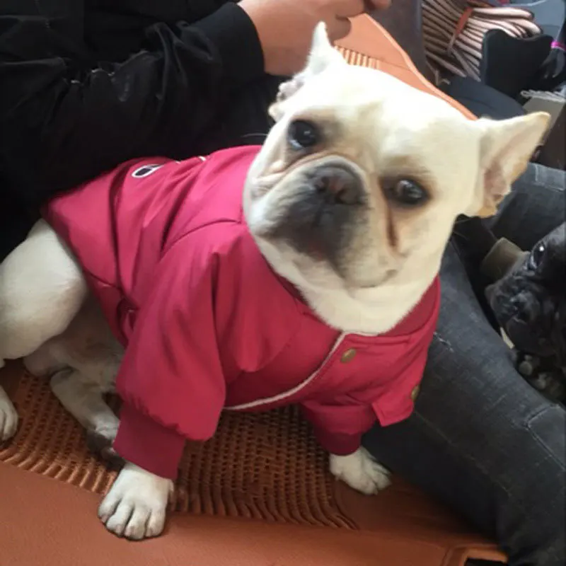 

Ropa De Perros Mascotas Dog Clothes Winter Clothes Thick Warm Jacket Pug Schnauzer Bulldog Cotton Coat Plus Velvet Pet Sweater