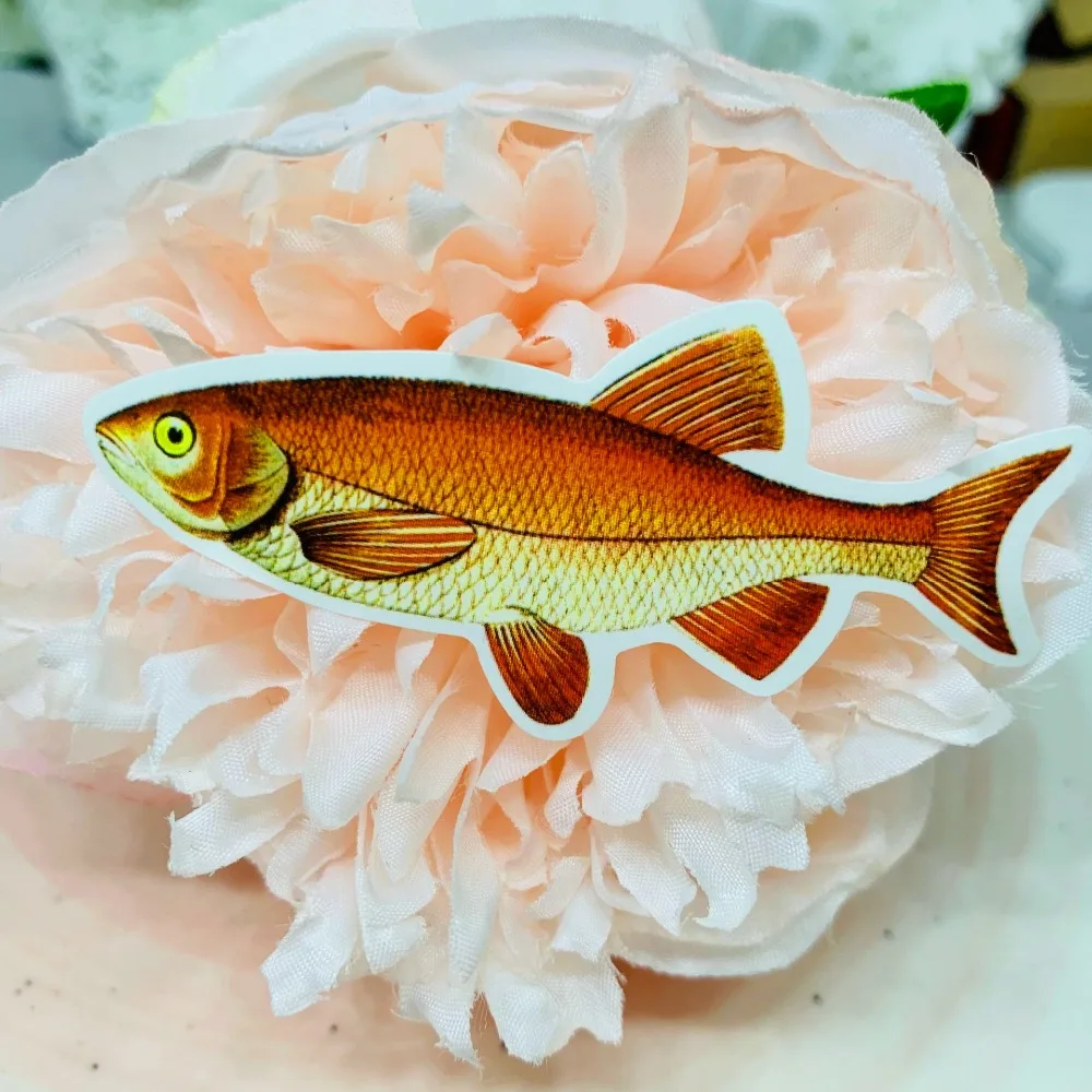 QQ图片20190819091249