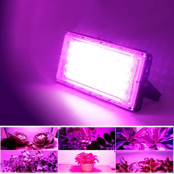 

Led Flood light 220V Full Spectrum LED plant growth lamp 50W Led Grow light greenhouse Hydroponic plant floodlight spotlight