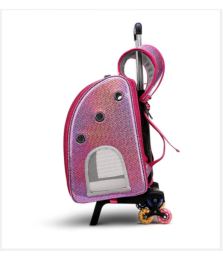 HTB1SAuKbBWD3KVjSZFsq6AqkpXaZ