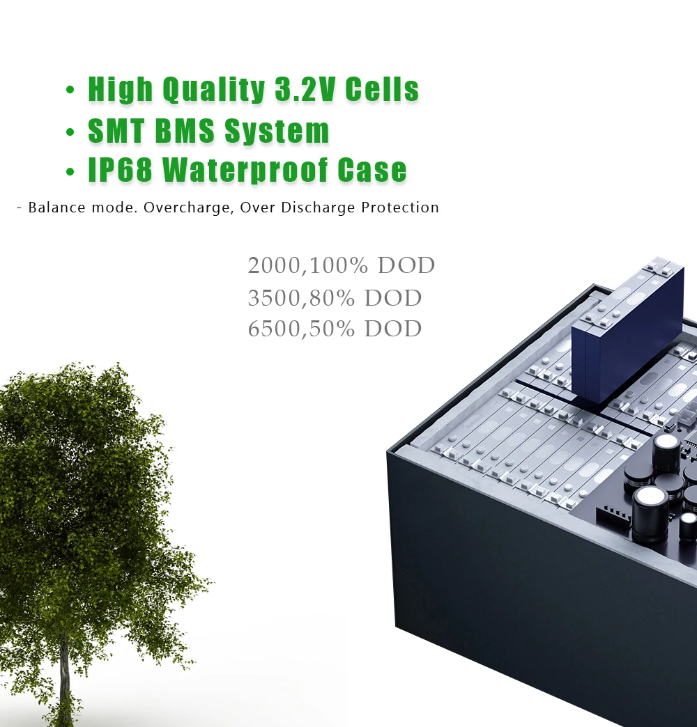 12V 24V 100AH 200AH 300AH LiFePo4 battery pack built-in BMS with charger lithium iron phosphate RV solar storage energy battery lithium battery pack