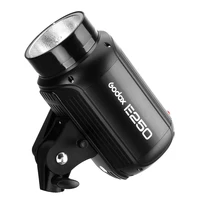 Godox E250 250Ws Photography Studio Flash Strobe Light + 50 x 70cm Honeycomb Gird + AT-16 Trigger + 180cm Light Stand Flash Kit 2