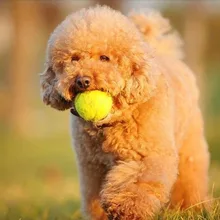 6,5 см/2," большой гигантский питомец собака теннисный мяч Petsport метательный патрон игровая пусковая установка игрушка