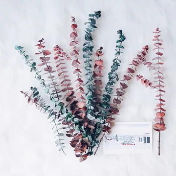 

10PCS Fresh Real Blue Eucalyptus Leaf Natural Dried Flowers Wedding Party Home Decoration Large Eucalyptus Branches