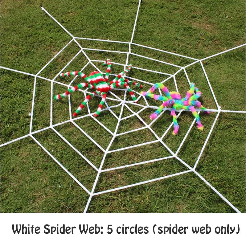 White Spider Web 5 circles