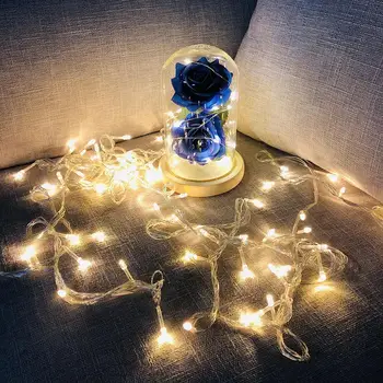 

Beauty LED Rose Lamp Bottle Desk Light Flower Night Lamp Romantic Valentine's Day Birthday Gift Decoration Beast Battery Powered