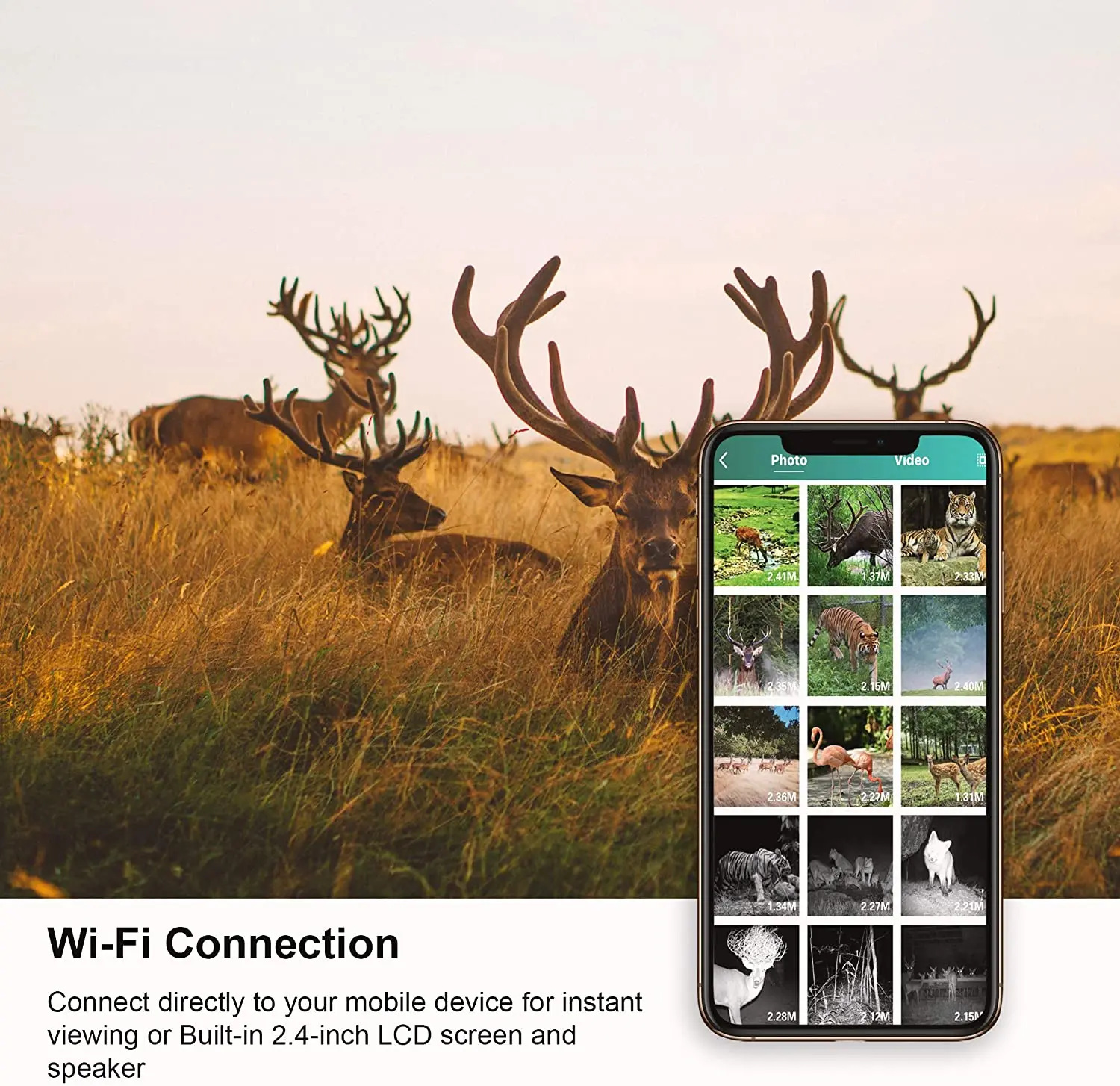 WIFI Trail Camera APP Live Show Hunting Cameras 24MP 1296P Wildlife WIFI801B Night Vision Outdoor Surveillance