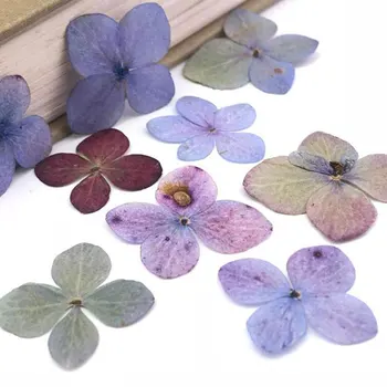 

12pcs/Bag Real Dried Flowers for Resin Jewellery Dry Plants Pressed Flowers Making Craft DIY Accessories High Quality