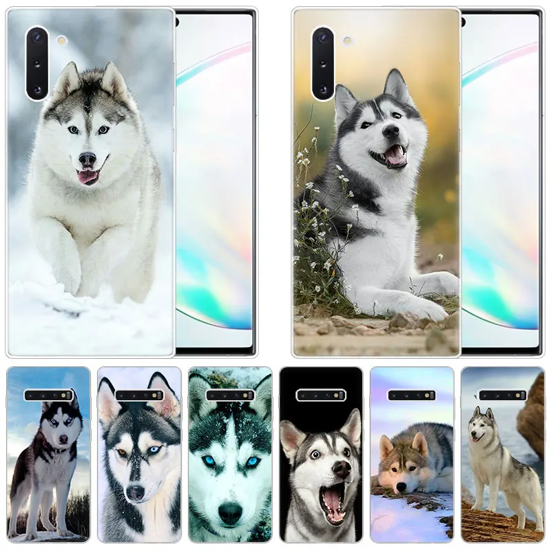 Мягкий чехол для Samsung Galaxy Note 10 Pro 9 8 5 M30S M40 S10E S10 5G S9 S8 Plus S7 S6 Edge S5|Бамперы| |
