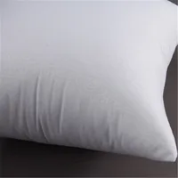 30*30/35*55/30*50/60*60 /40*40/45*45/40*60/65*65cm Solid Cushion Core Head Waist Pillow Inner PP Cotton Filler Cushion Filling 6