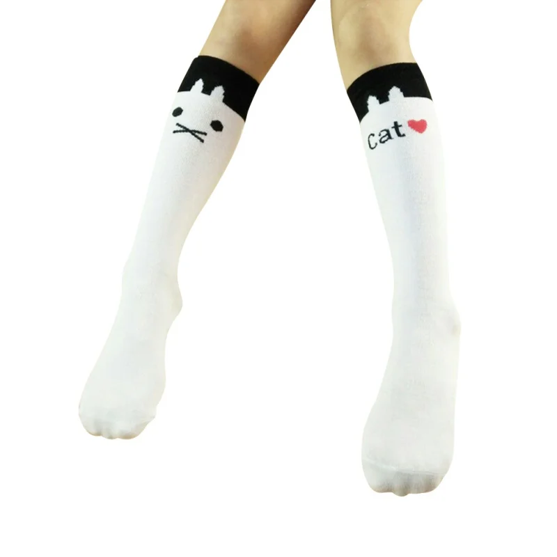 FK0931E (1)