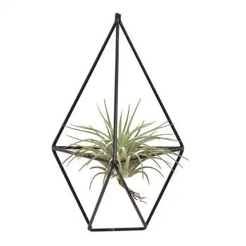 

1 Pcs Rustic Wall Mount Hanging Irregular Pentagon Geometric iron Tillandsia Air Plants Holder Rack Black Wall Accent Decor (Bla