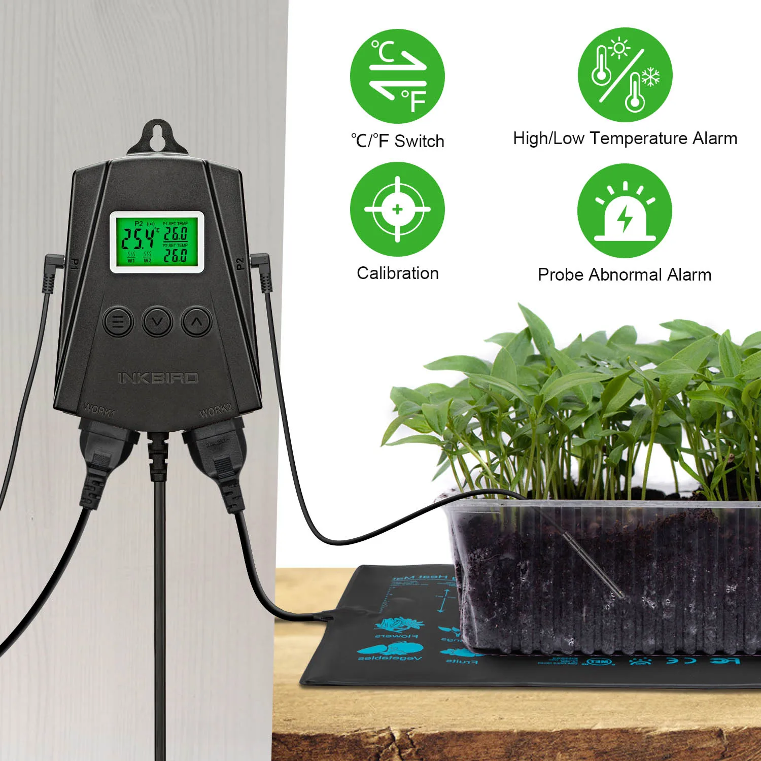 Inkbird Wi-Fi Heat Mat Thermostat LCD Display Temperature Controller  IPT-2CH for Seed Germination 110V/220V Garden Supplies - AliExpress