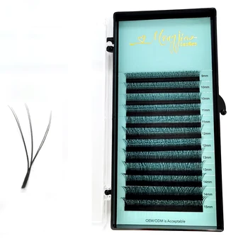 

M&J W Shape Eyelash Extensions 3D Premade Volume Fans W Style Lashes Comfortable New Volume False Eyelash Natural
