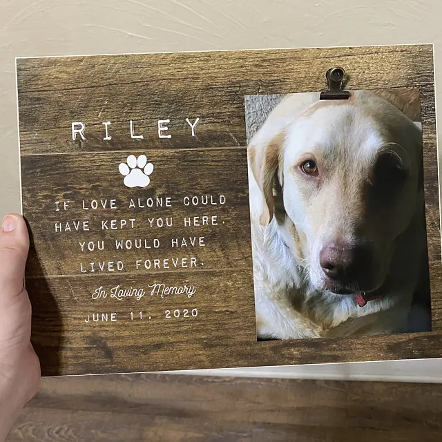 iap_640x640.2379602812_9gsm25p0