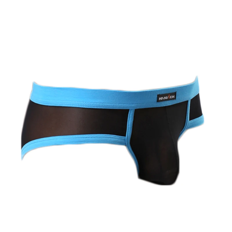 Men's Panties Mesh Brief Sexy Underwear for Men Gay Blue Lingerie Male Fashion Soft Breathable Transparent New Underpants S-3XL