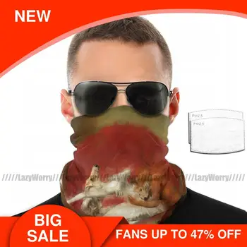 

Fox Kitsune Mouth Face Mask Fox Ballet Facial Mask with Filters Adult Beautiful Kawai Mask