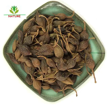

100% Natural Dry Herbs Lian Qiao (Fructus Forsythiae) Chinese Herb