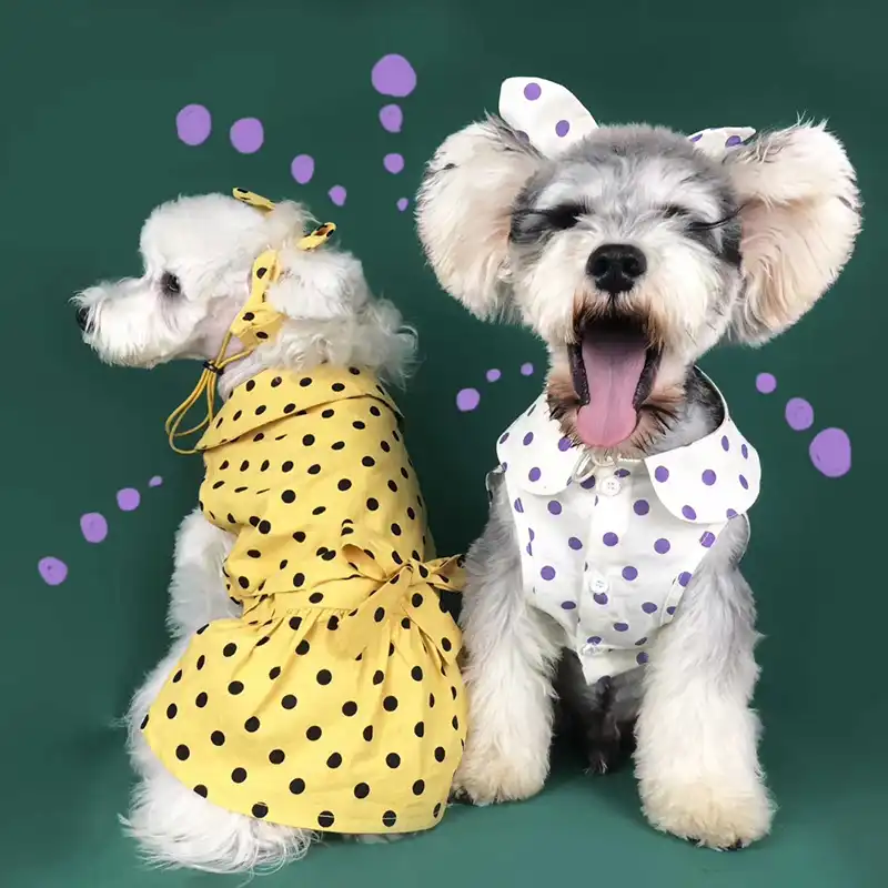 cute puppy outfits