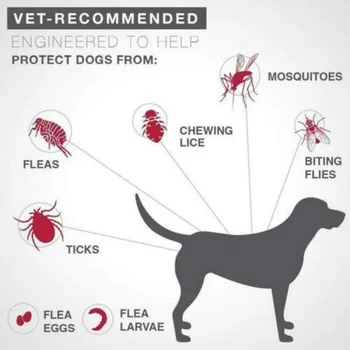 

5Pcs/10Pcs Anti-Flea Shower Bomb for Pets Dogs JS22