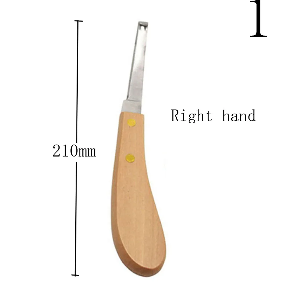 DSC_3660 - 副本 - 副本 (4)