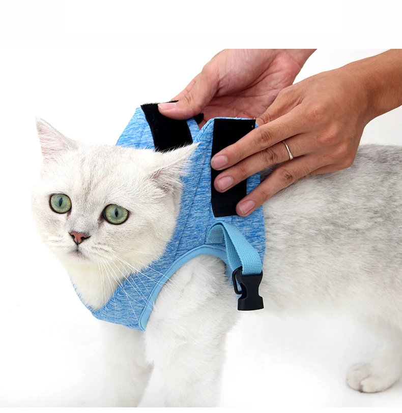 猫背带_07-1