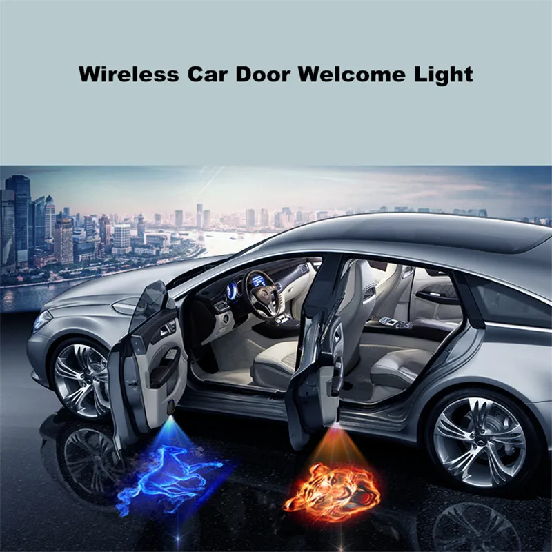 Car Welcome Light (13)