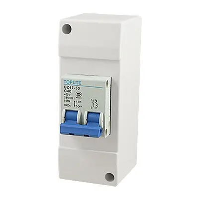 

AC 400V 40A Rated 3000A Capacity 2 Poles Mini Circuit Breaker w Case