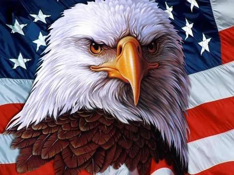 product-image-822754631 (1)