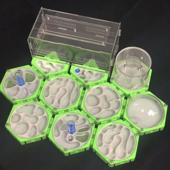 

3D Unlimited Expansion Acrylic Ant Farm Spliceable Flat Ant Nest with Water Tower Concrete Ant House Anthill Pet Workshop