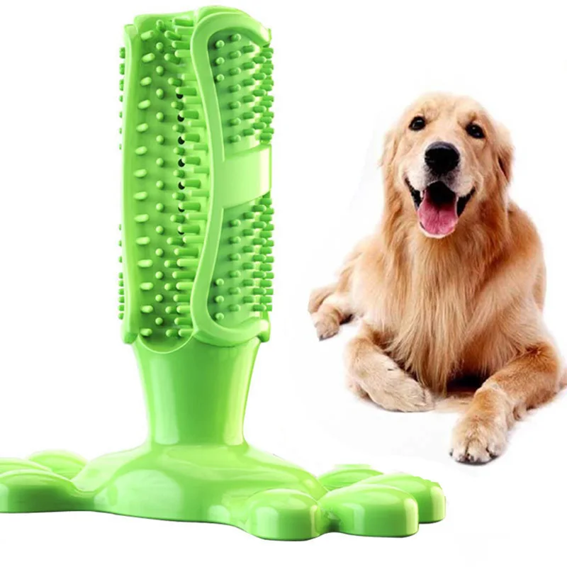 dog chewy toothbrush