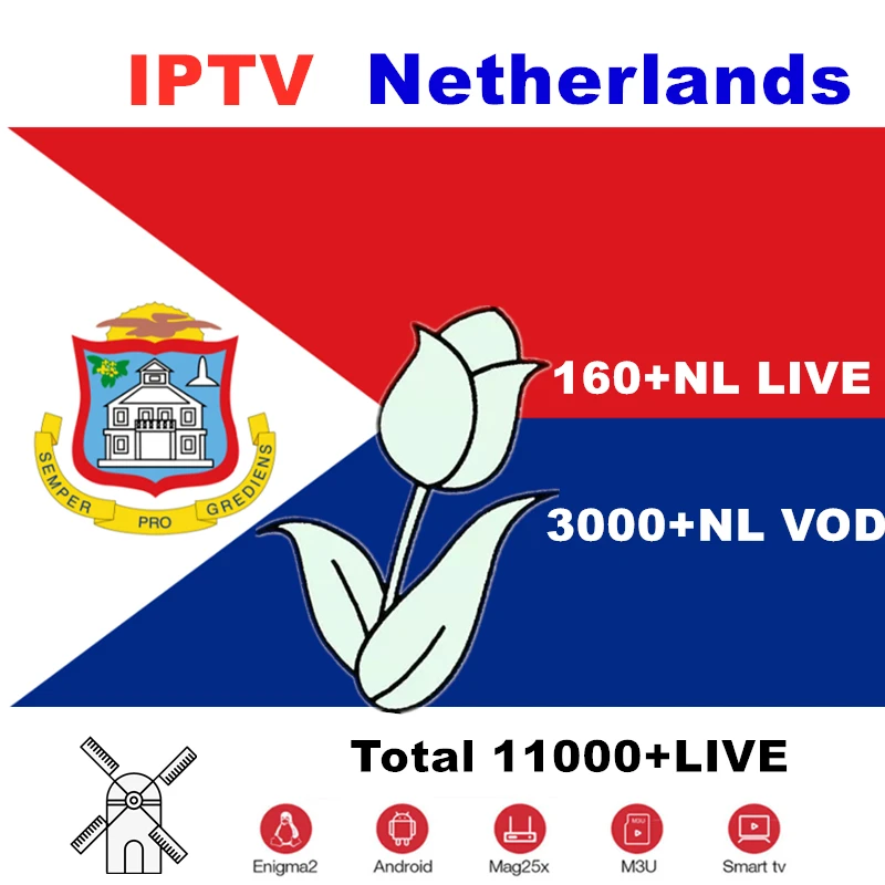 

Nederlands Iptv Subscription Android Tv box Europe France netherlands sweden Germany iptv dutch m3u smart tv box live 10000 HD