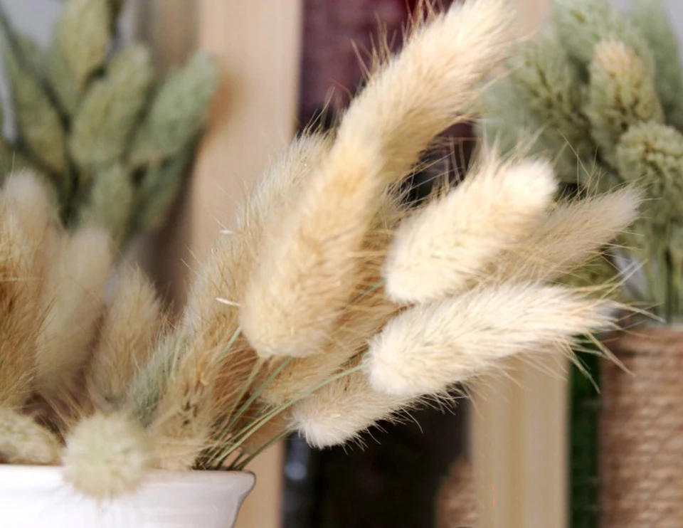 dried natural flower  (10)