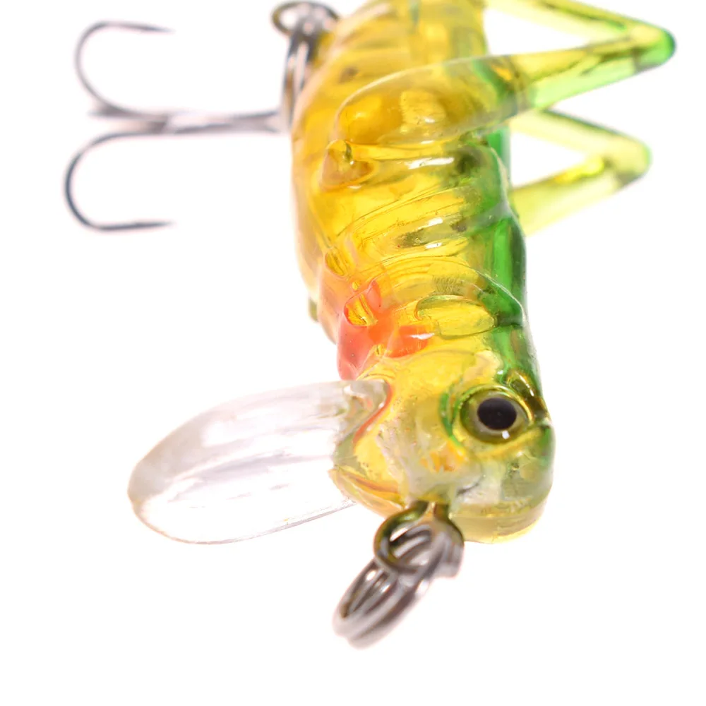 011536383651_DSC_3325