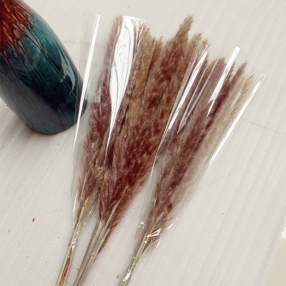 5279888610_1854372444