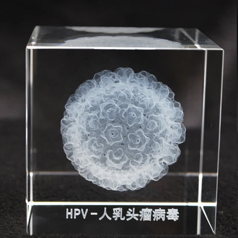 modelo De Bactérias 3D, estrutura De Vírus, Paperweight