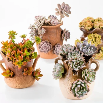 

EUROPEAN CREATIVE MULTI-PORT FLOWER VASE CERAMIC ARTS CUTE SUCCULENT PLANTS FLOWERPOT HOME LIVING ROOM MODERN DECORATIVE R3998
