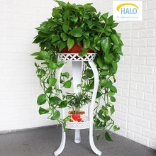 И растения функции на открытом воздухе разряда хлорофитума цветок Airs гостиной посадочного типа зеленая корзина простой и легкий