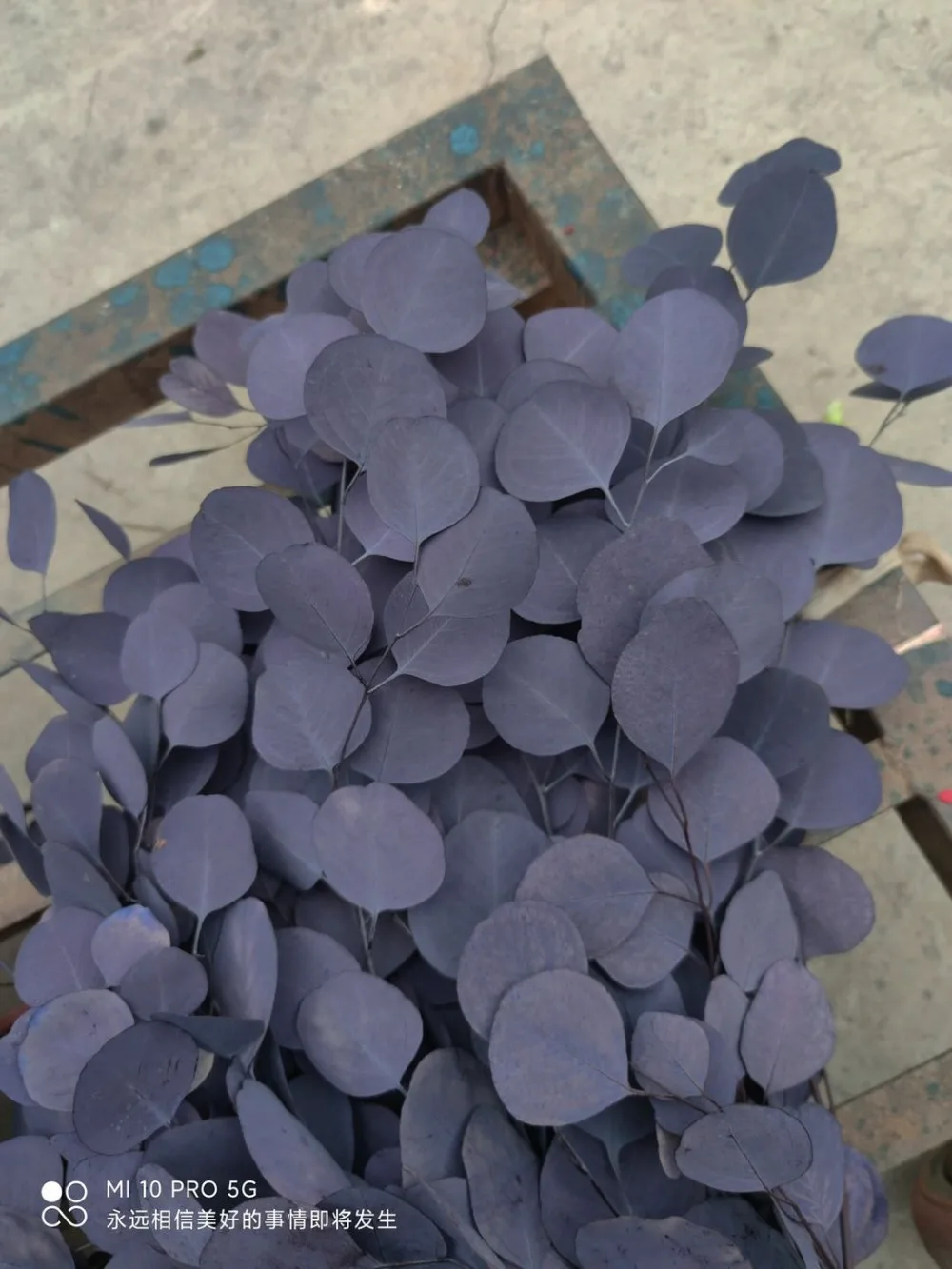 微信图片_20201020150309