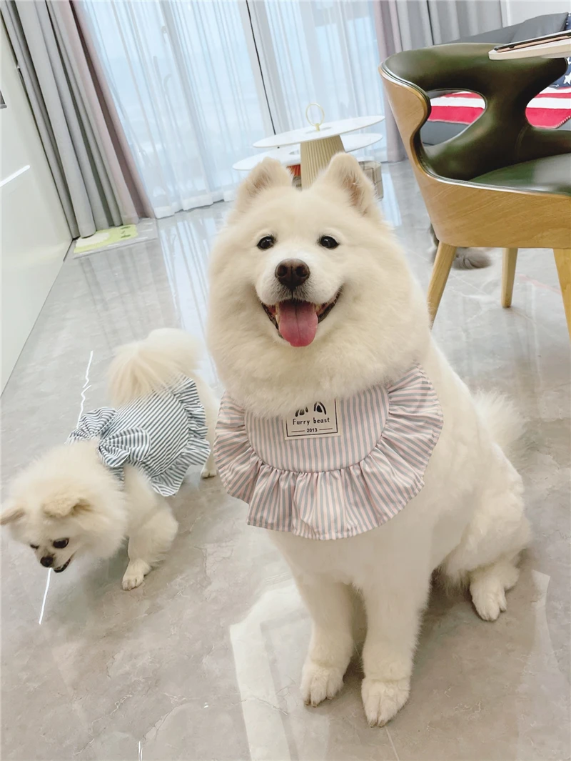 

Pet Products Fashion Accessories Bandaga For Giant Dogs