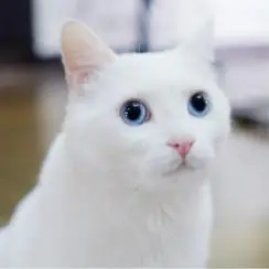 360截图20191226205150889