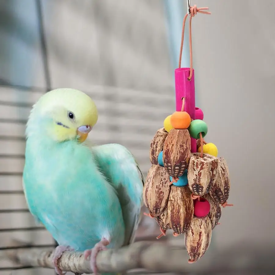 

toys for parrots Natural Fruit Bird Hanging Swing Parrot Biting Chewing Playing Cage Training Toy Accessory bird toy