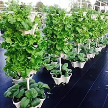 

New Plastic Stackable Vertical Flower Plant Pot Seedlings Holder Garden Planter Decor Suitable for Growing Strawberry HerbFlower