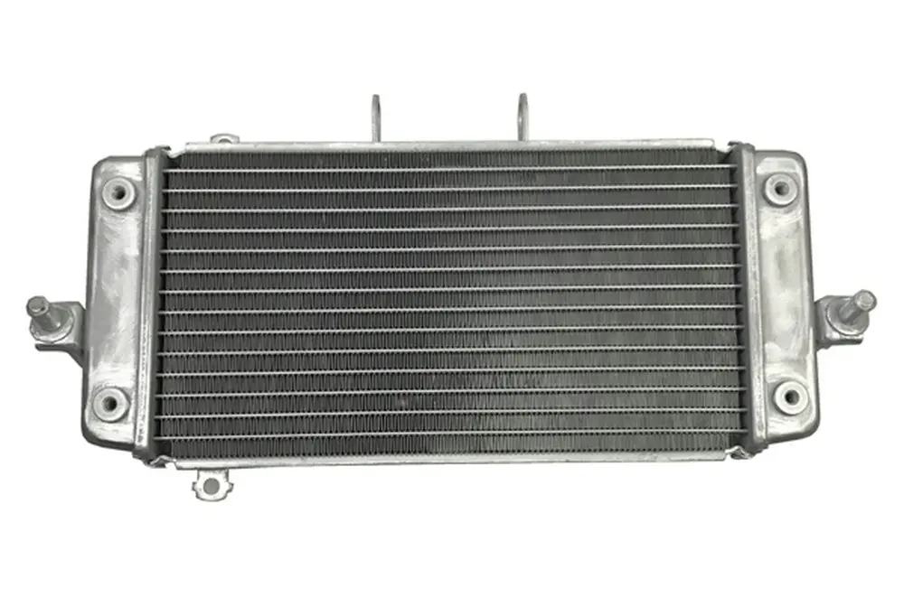 Алюминиевый радиатор подходит для Suzuki GW250 GW250F GW250Z GW 250 Inazuma 15& решетка Защитная крышка