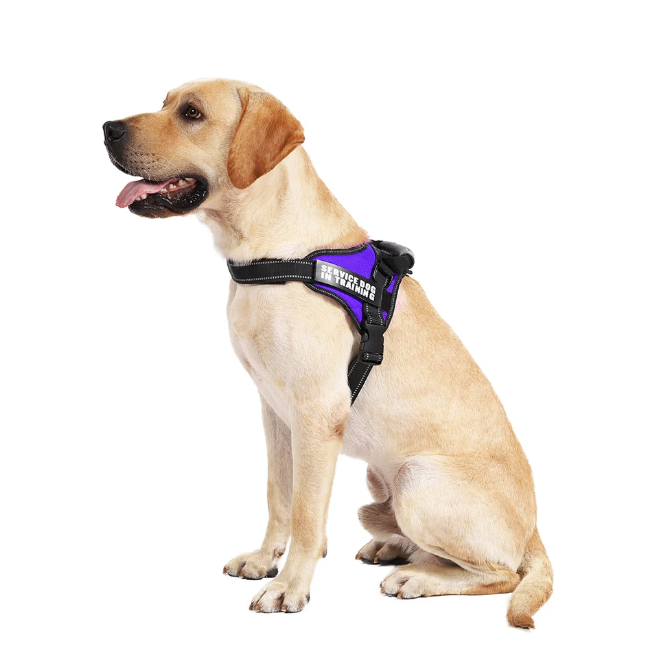 velcro dog tags