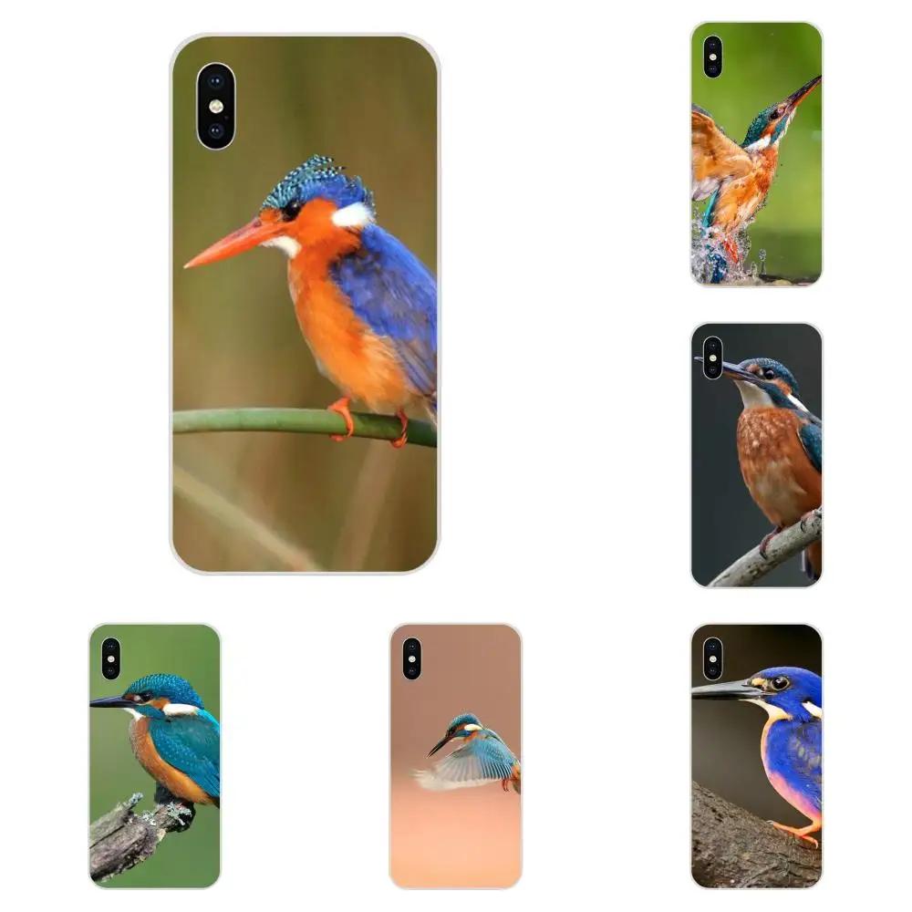 

Lovely Kingfisher Bird Mobile Covers For Xiaomi Redmi Mi 4 7A 9T K20 CC9 CC9e Note 7 9 Y3 SE Pro Prime Go Play