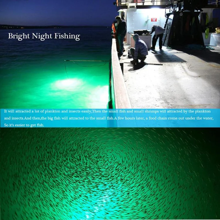 LED fishing lights 1